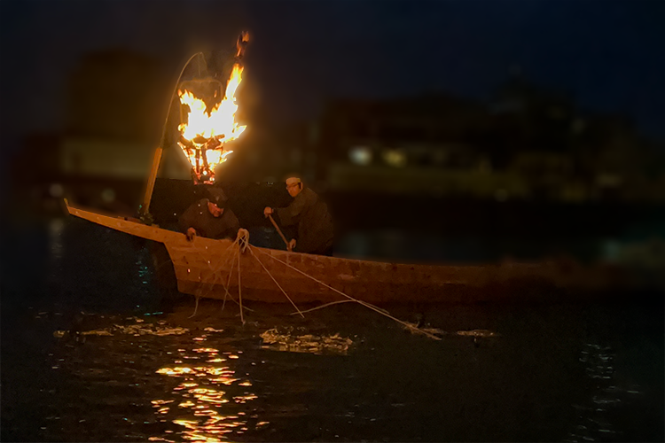 1300 años de historia. Pesca de cormoranes en el río Nagara