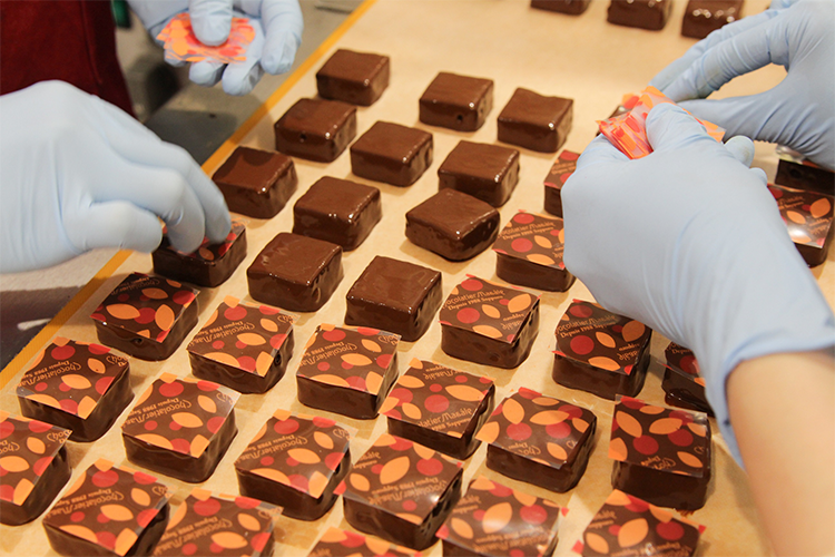 ``Chocolatier Masar'' trae felicidad a partir de un solo grano lleno de cálidos sentimientos.