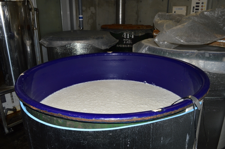 Durante el proceso de preparación, el arroz cocido al vapor se fermenta para crear moromi.