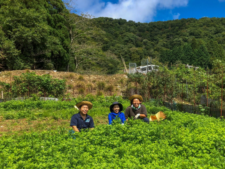 Tres personas en el jardín de hierbas.