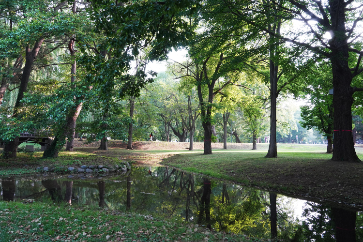 Hay bancos colocados por todo el campus verde y exuberante, lo que le permitirá relajarse y disfrutar del paisaje.