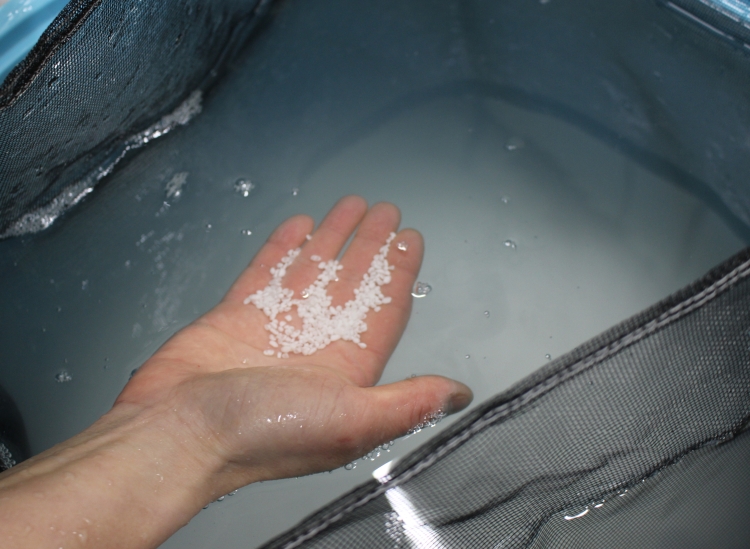 El proceso de remojar el arroz para sake en abundante agua subterránea para que pueda absorberla.