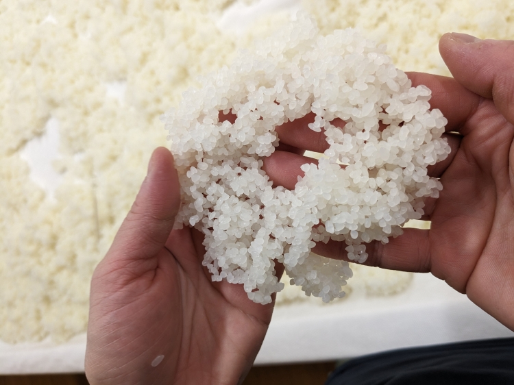 "Sakamai" es un arroz cultivado específicamente para la elaboración de sake.