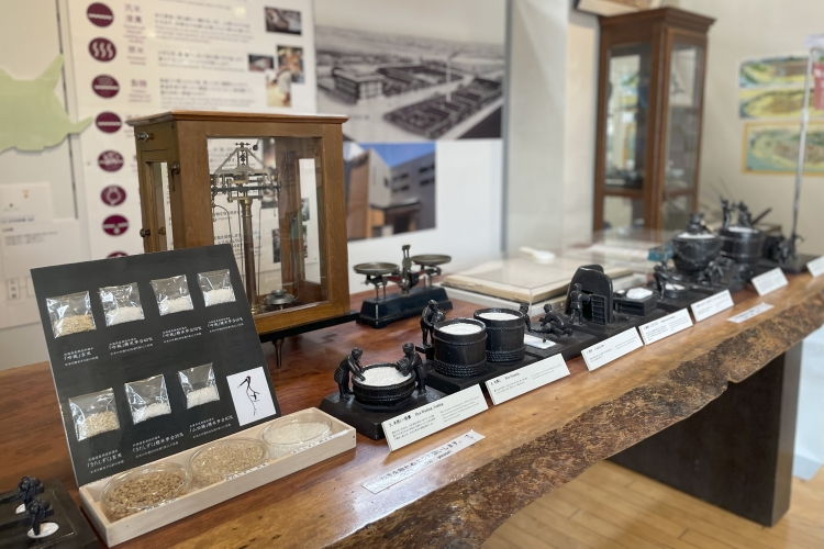 Exposiciones en el museo