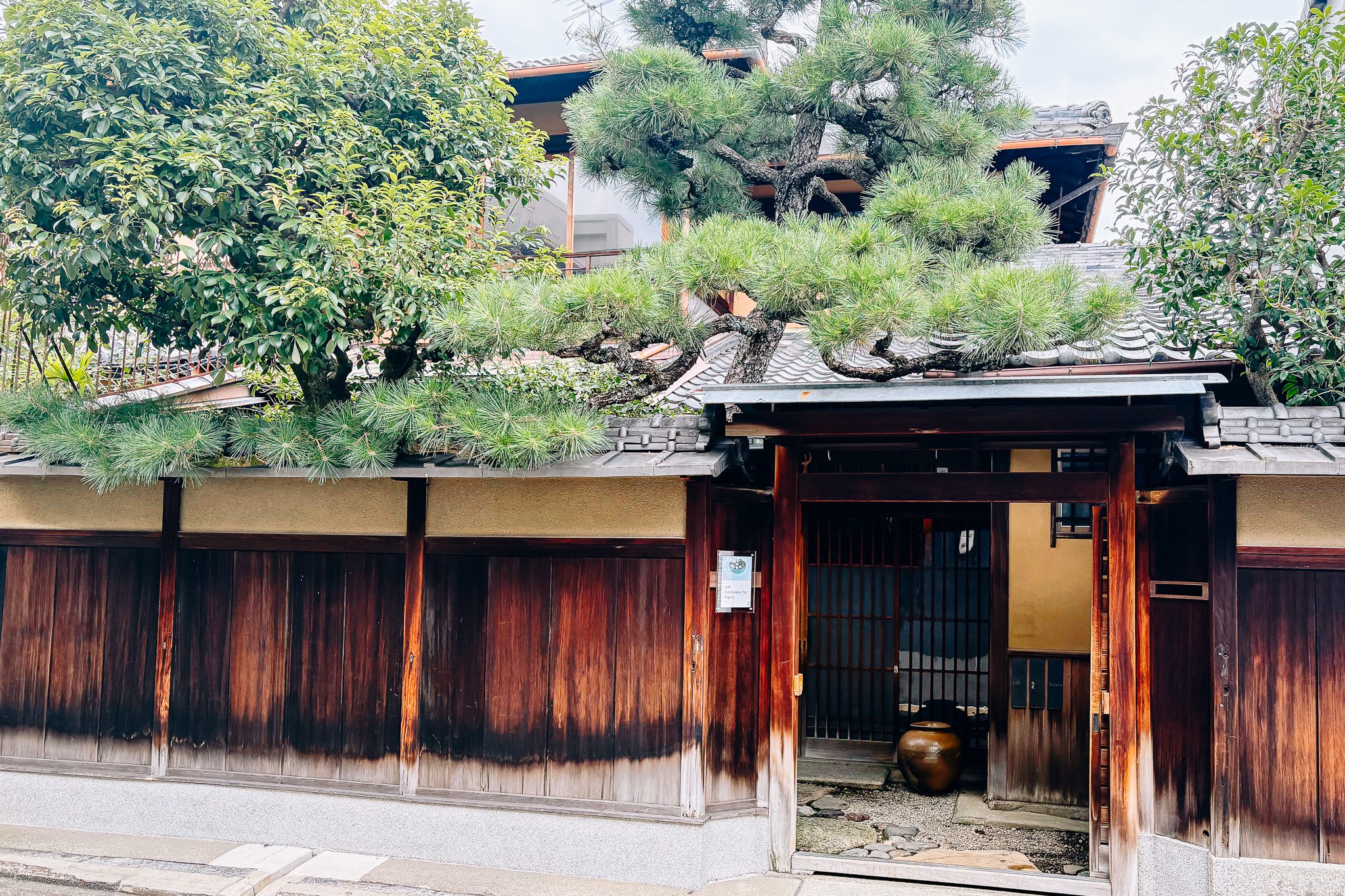 Un momento para descubrir el profundo encanto del té japonés en la casa de té "Touka"